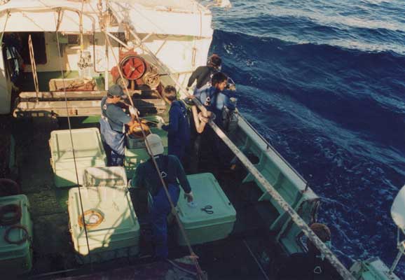過酷な漁業インドネシア人対中国船